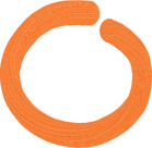 Immigrant Movement Visioning Process (IMVP)